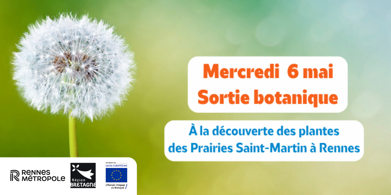 À la découverte des plantes communes des Prairies Saint-Martin