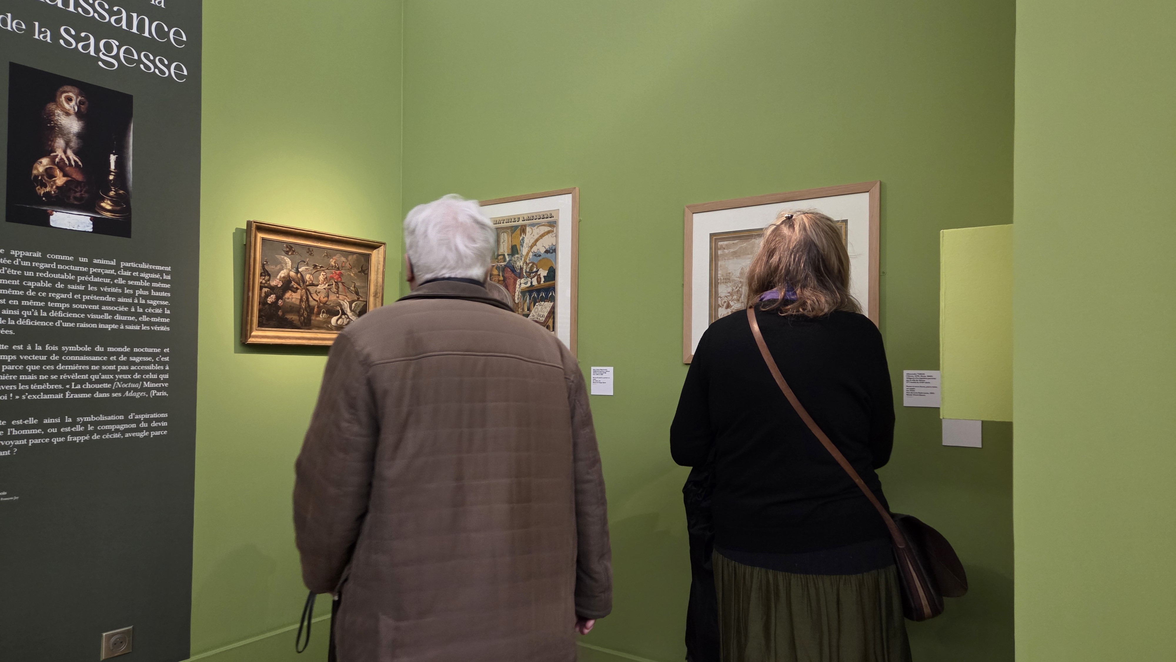 Visites guidées de l'exposition « L'oiseau aux yeux d'or »