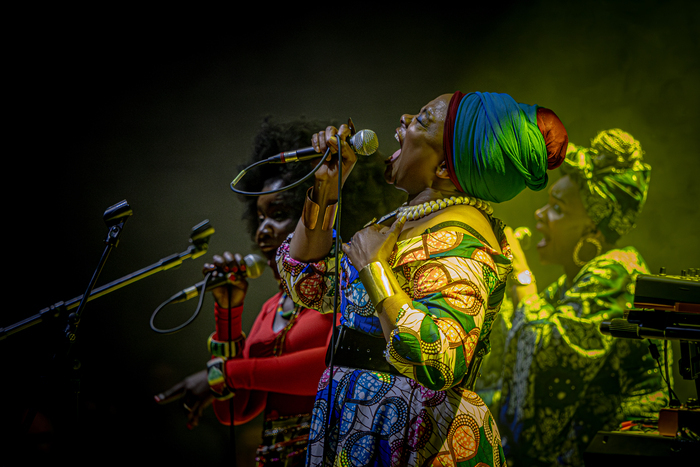 Les Amazones d’Afrique