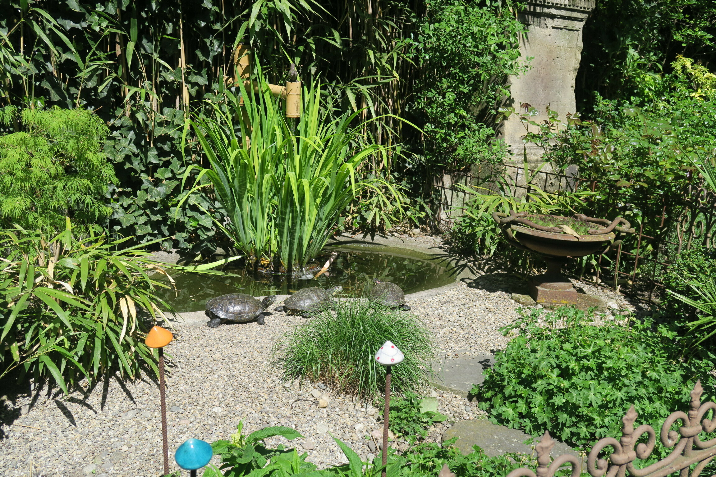 Découverte libre d'un jardin enchanteur