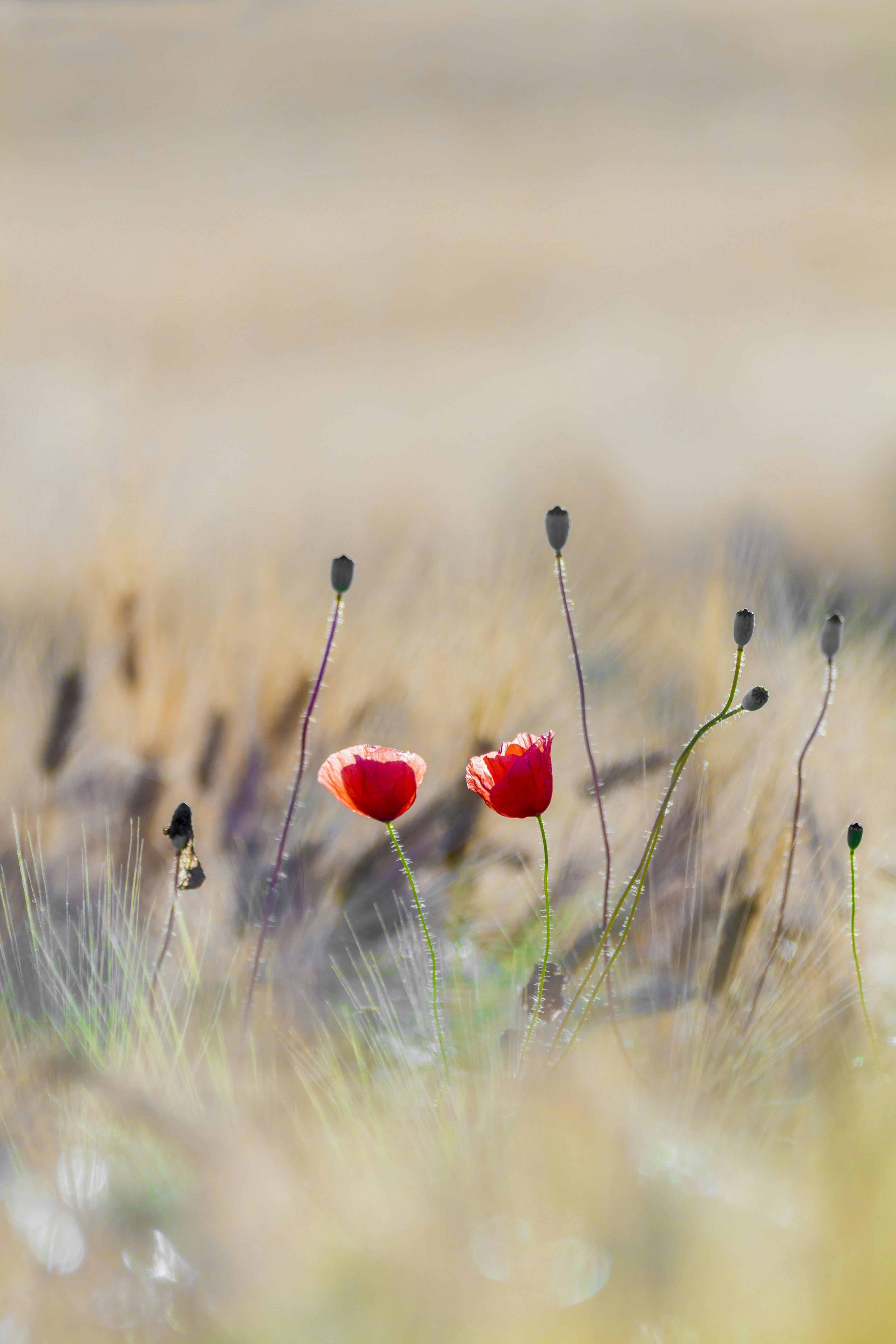 Jardiner au naturel Au bouscat