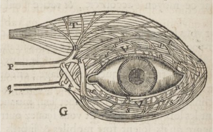 [Muzzix] LUN19h | OKKIO! & Veillée haut-parlante