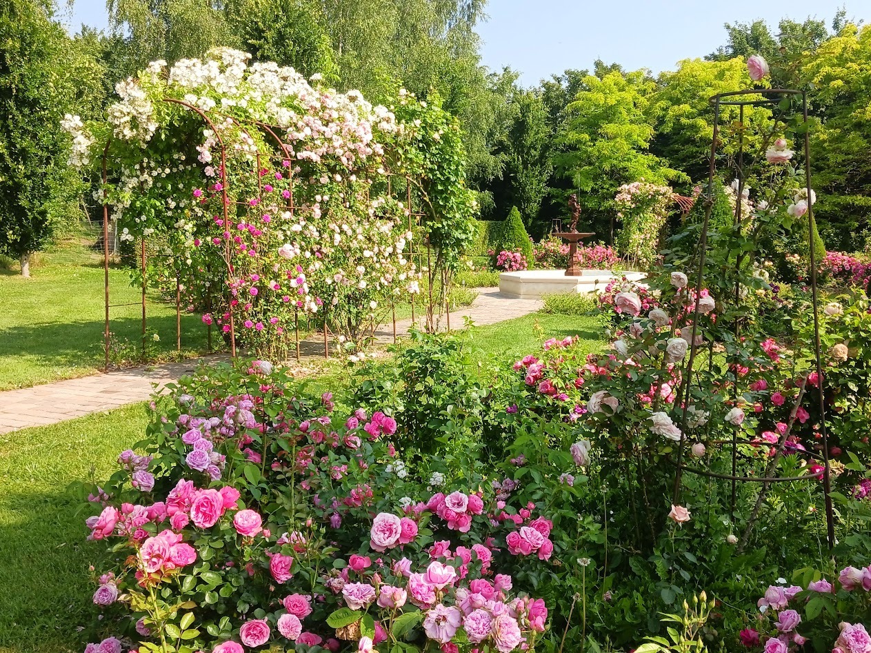Démonstration : parlons jardin au "Jardin de Suzanne"