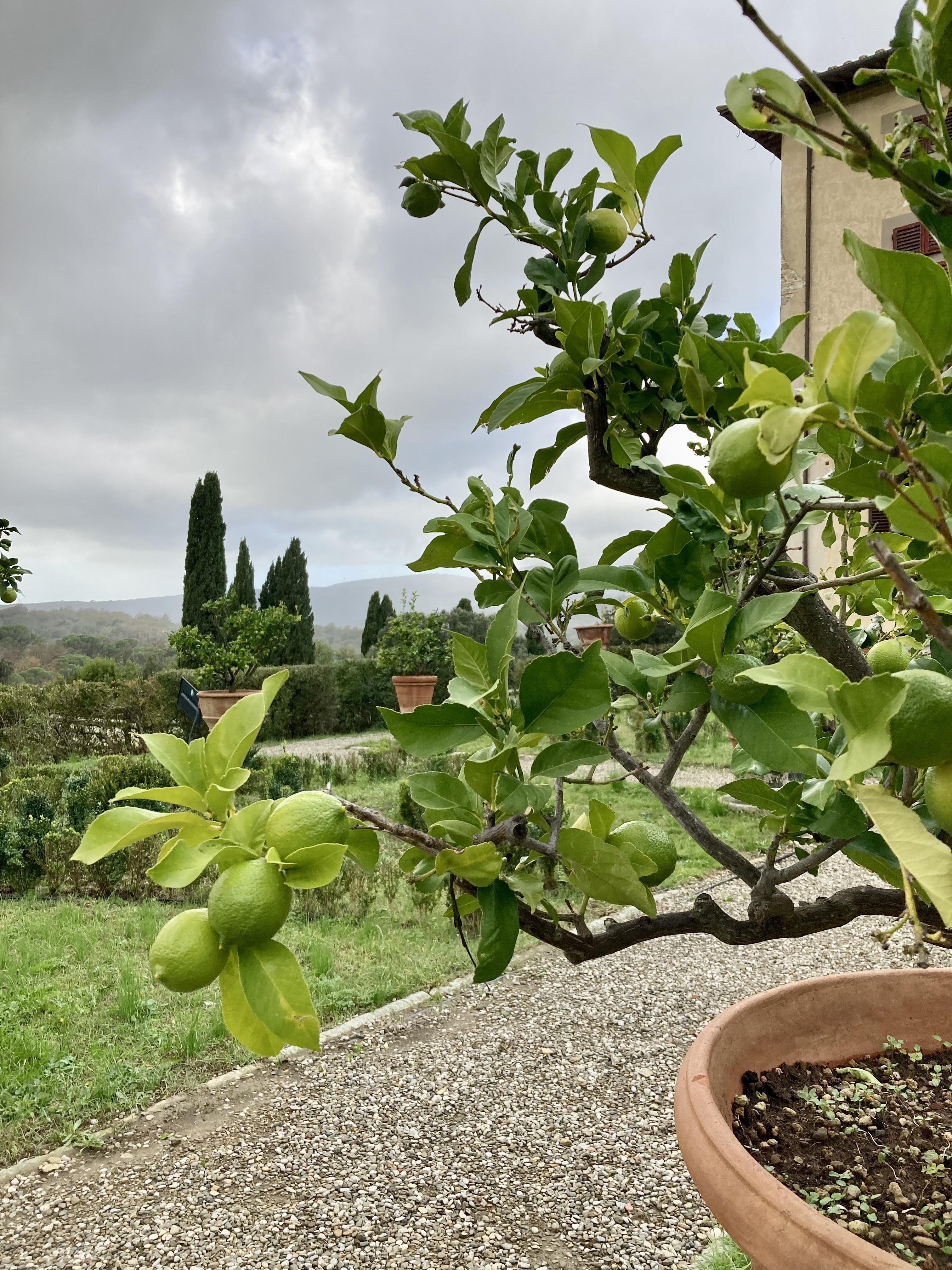 Le jardin historique