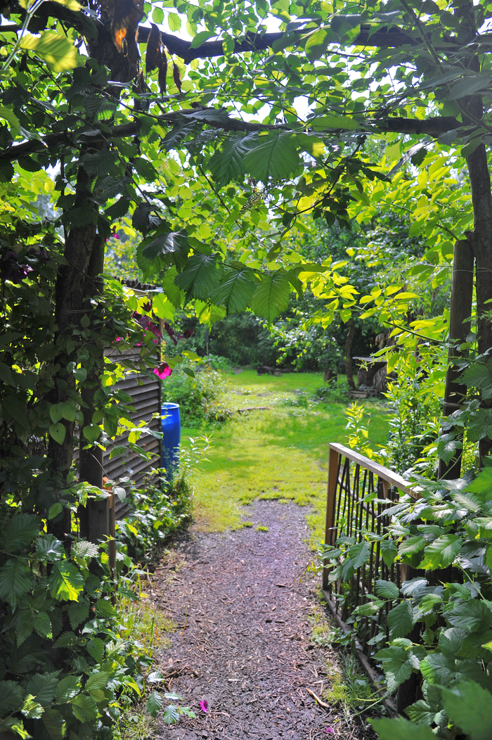 Atelier d’été : Initiation au dessin naturaliste (jeune public : 7-15 ans)