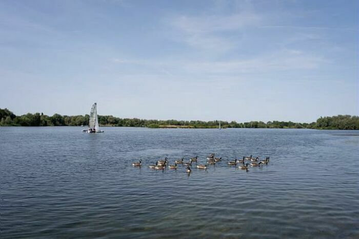 Balade naturaliste : pause migratoire