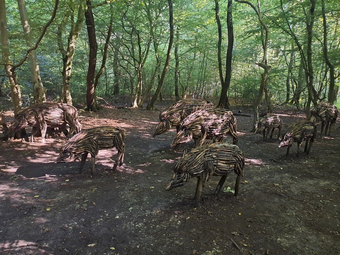 Forêt Monumentale, Canteleu
