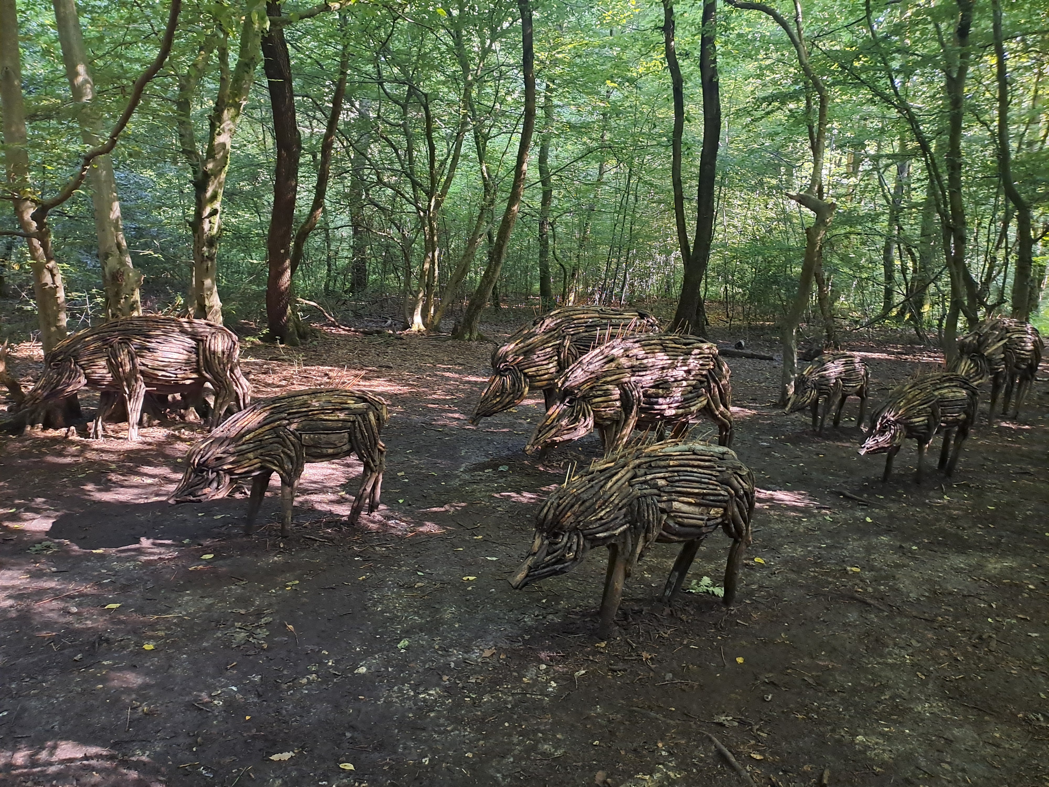 Animations - Service Forêts