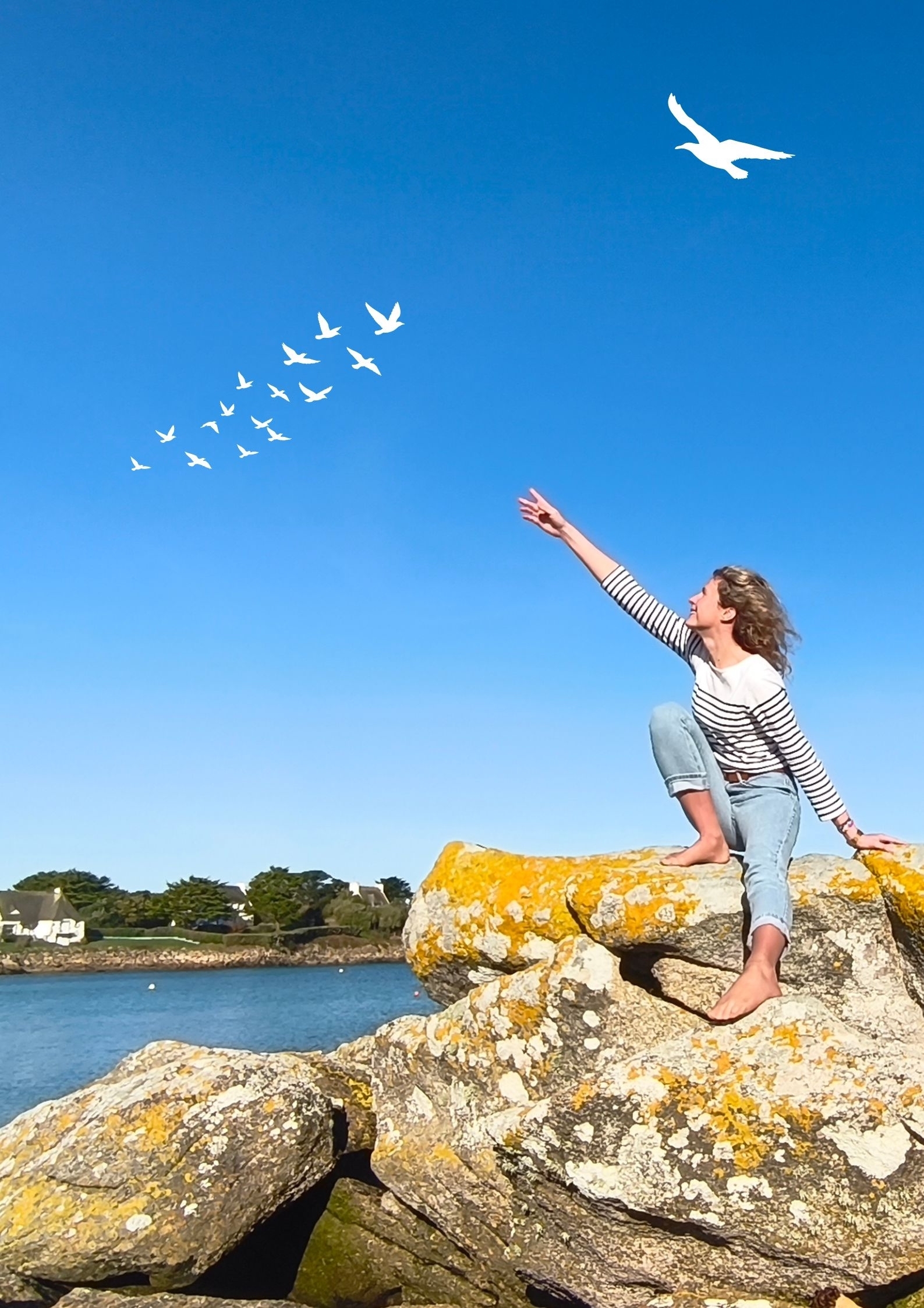 Théâtre - Jonathan Livingston, le Goéland de Richard Bach