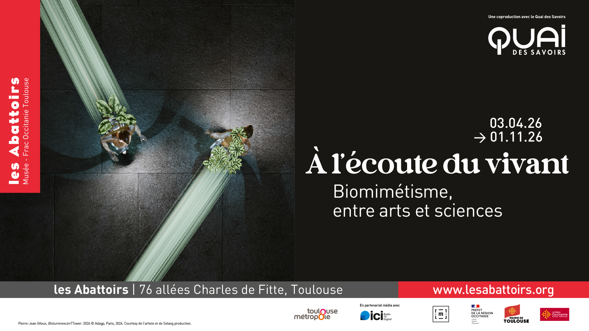 Rencontre/atelier autour du biomimétisme