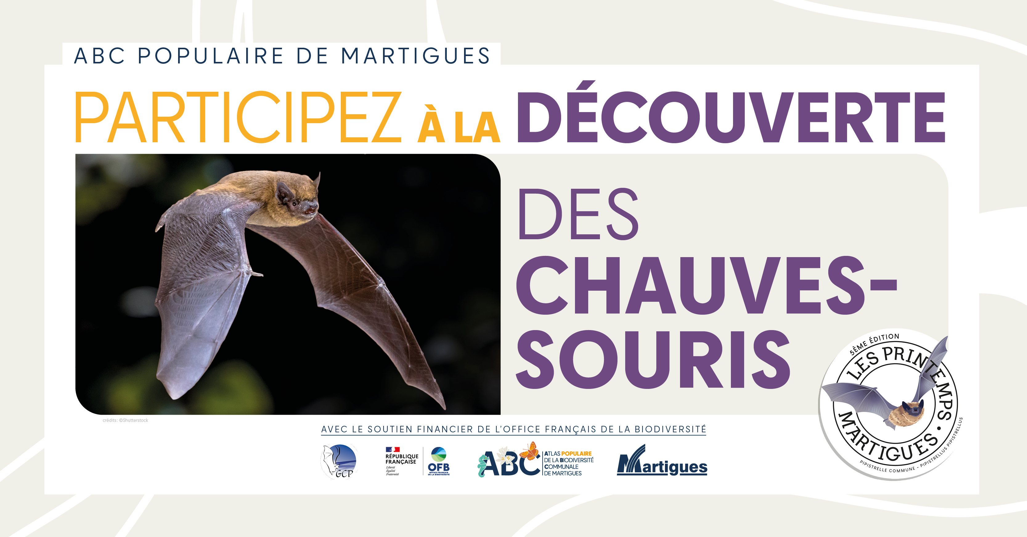 Les printemps et ABC populaire : " Découverte des chauves-souris "