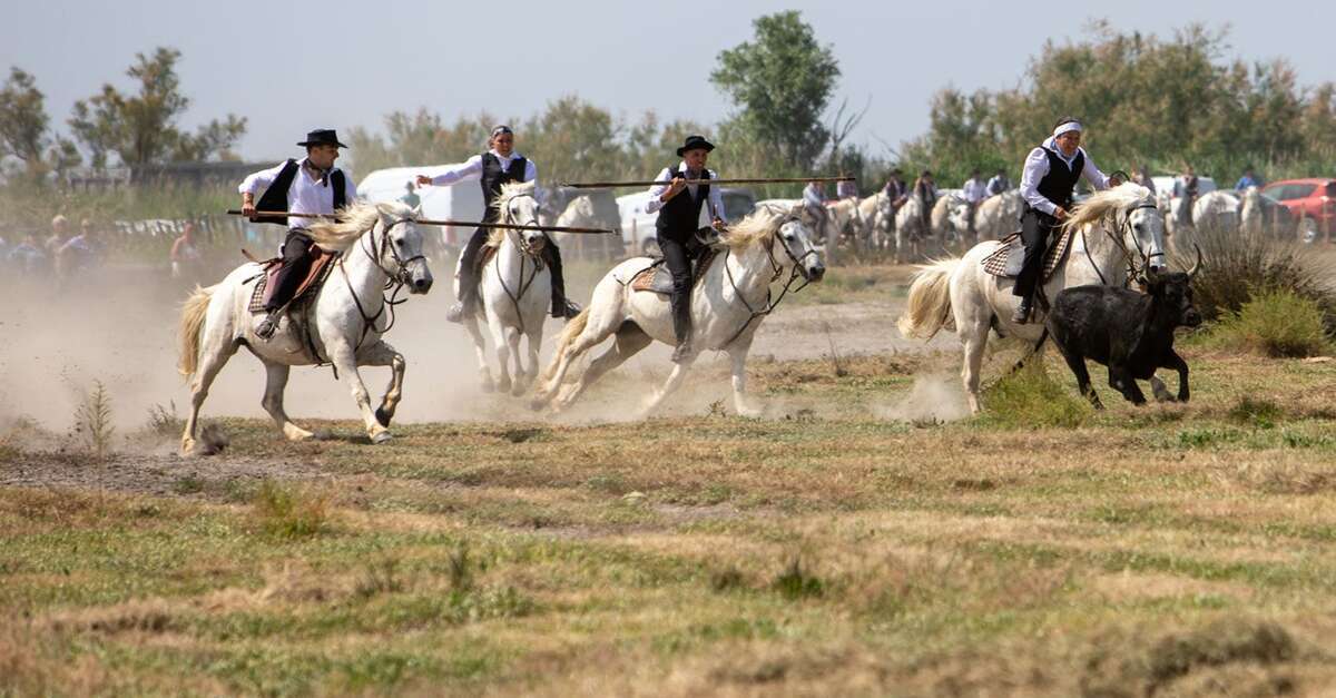 Course de Satin