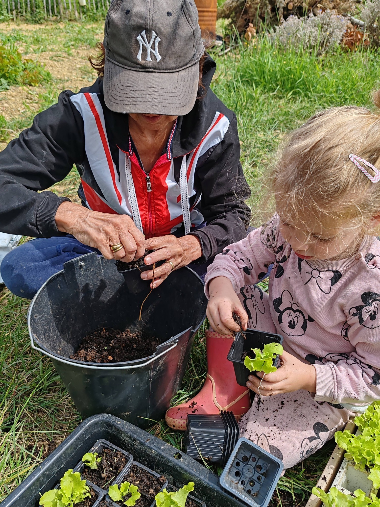 Ateliers boules de graines de fleurs