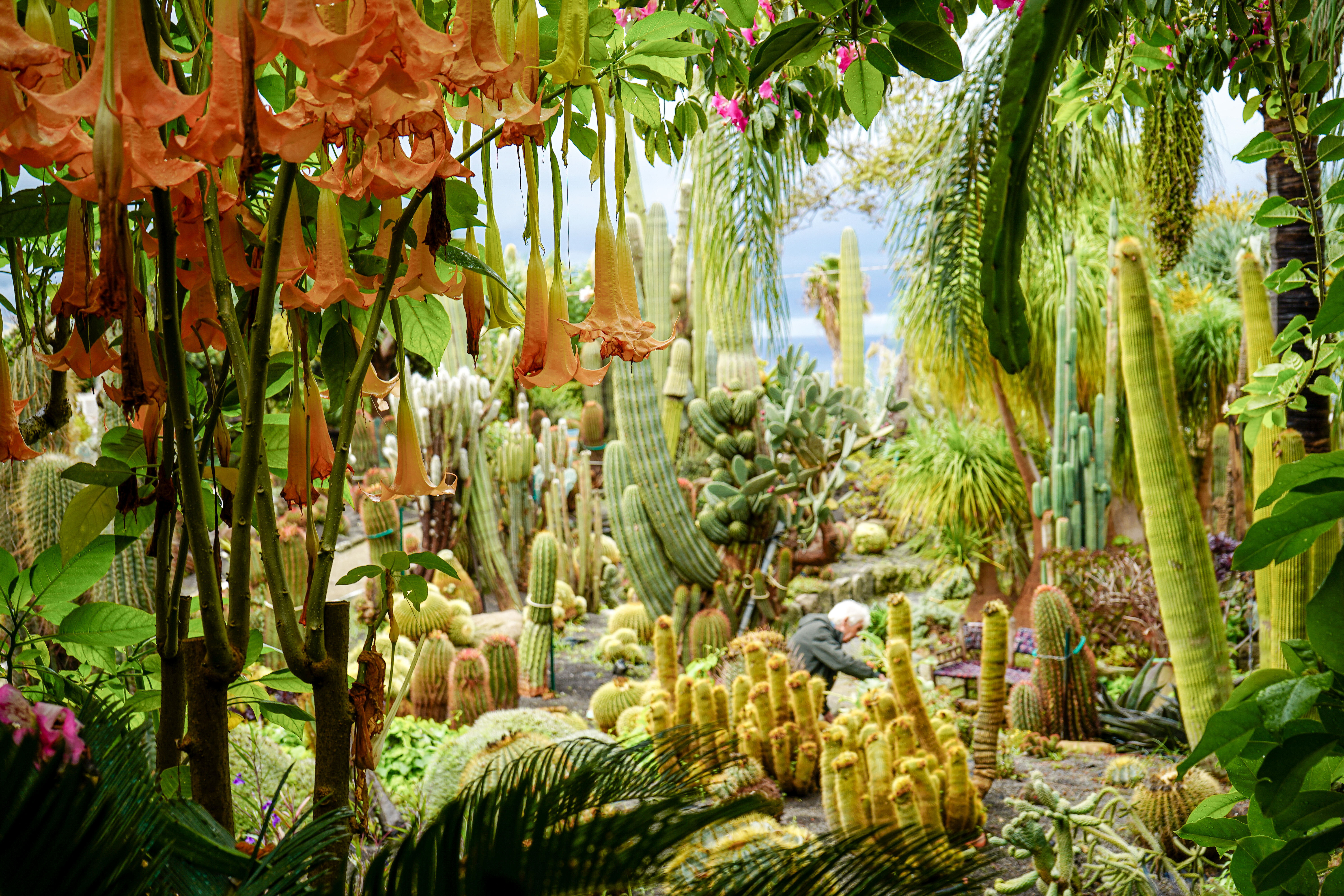 Visite guidée des jardins du Ravino