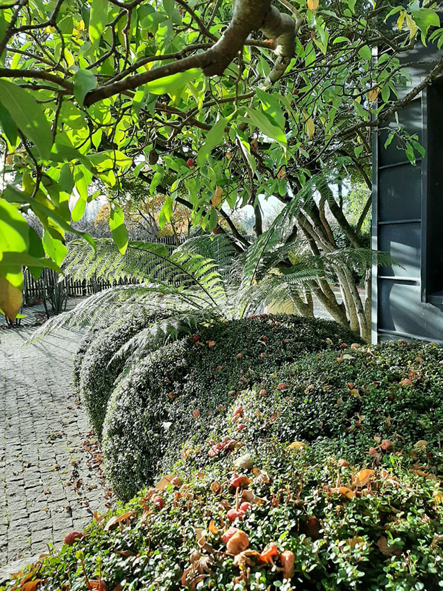 Visite découverte du Jardin Callarec