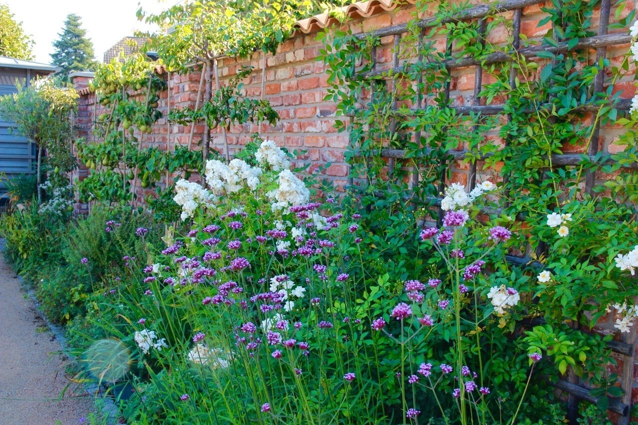 Voir, s’émerveiller et profiter - Un marché de jardinage dans le jardin privé