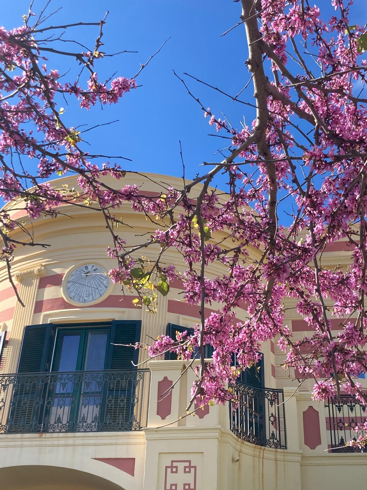 Visite guidée des jardins de Villa la Meridiana