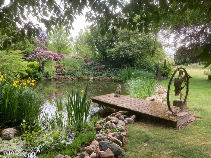 Garten Feige