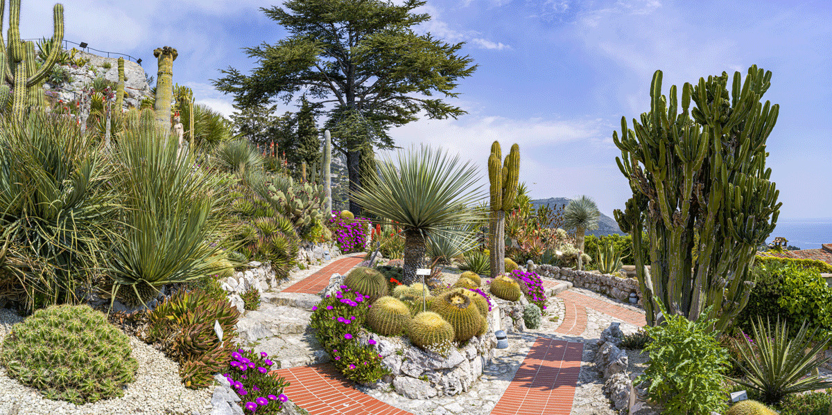 Visite du jardin exotique d'Eze