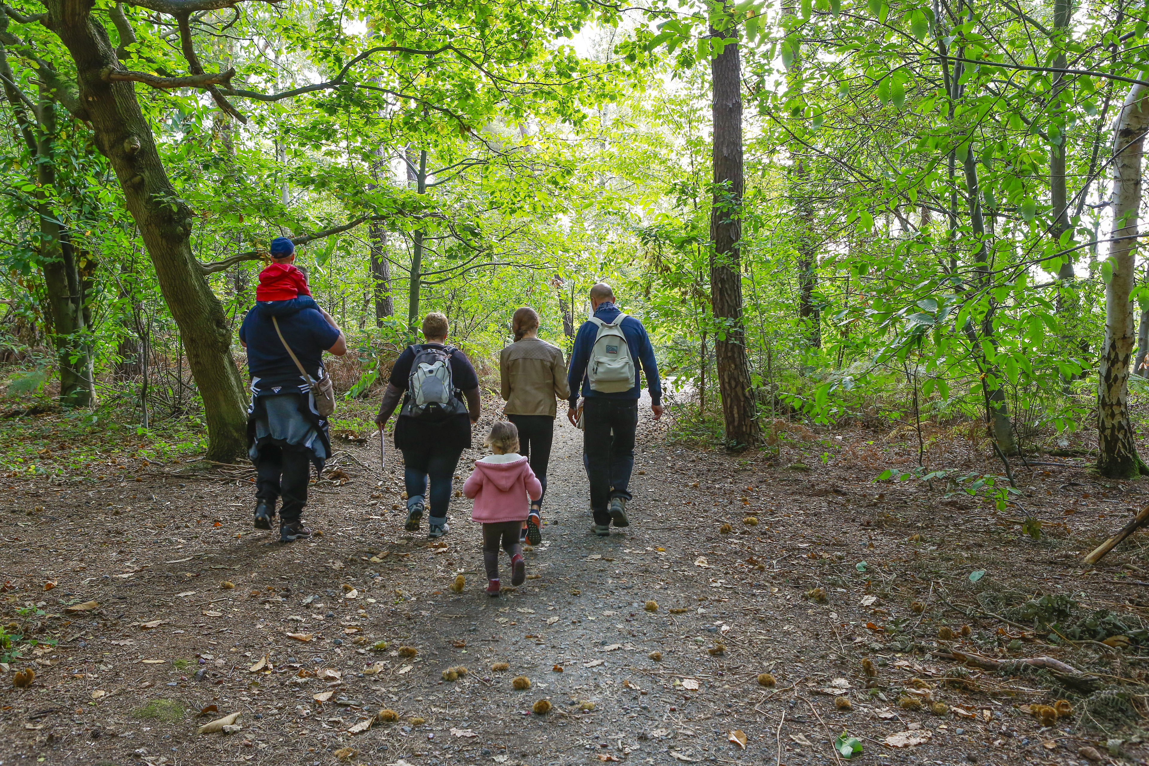 Balade sensorielle en famille