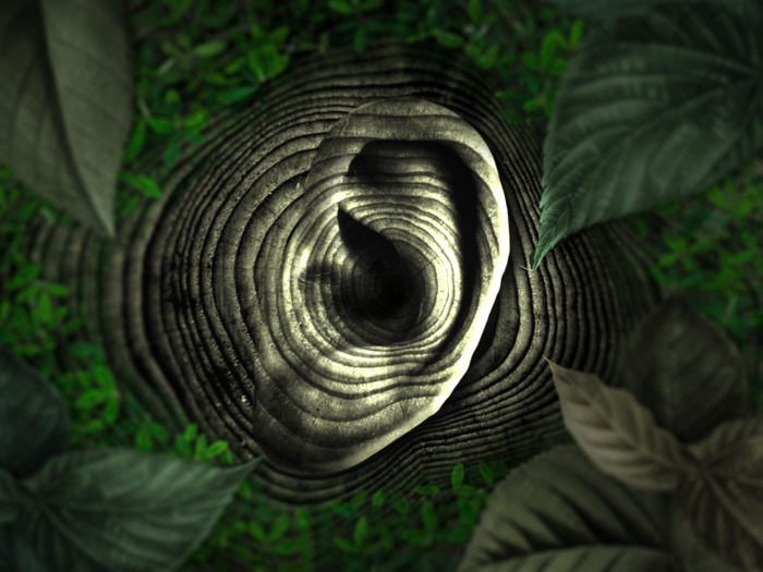 Rendez-vous aux jardins