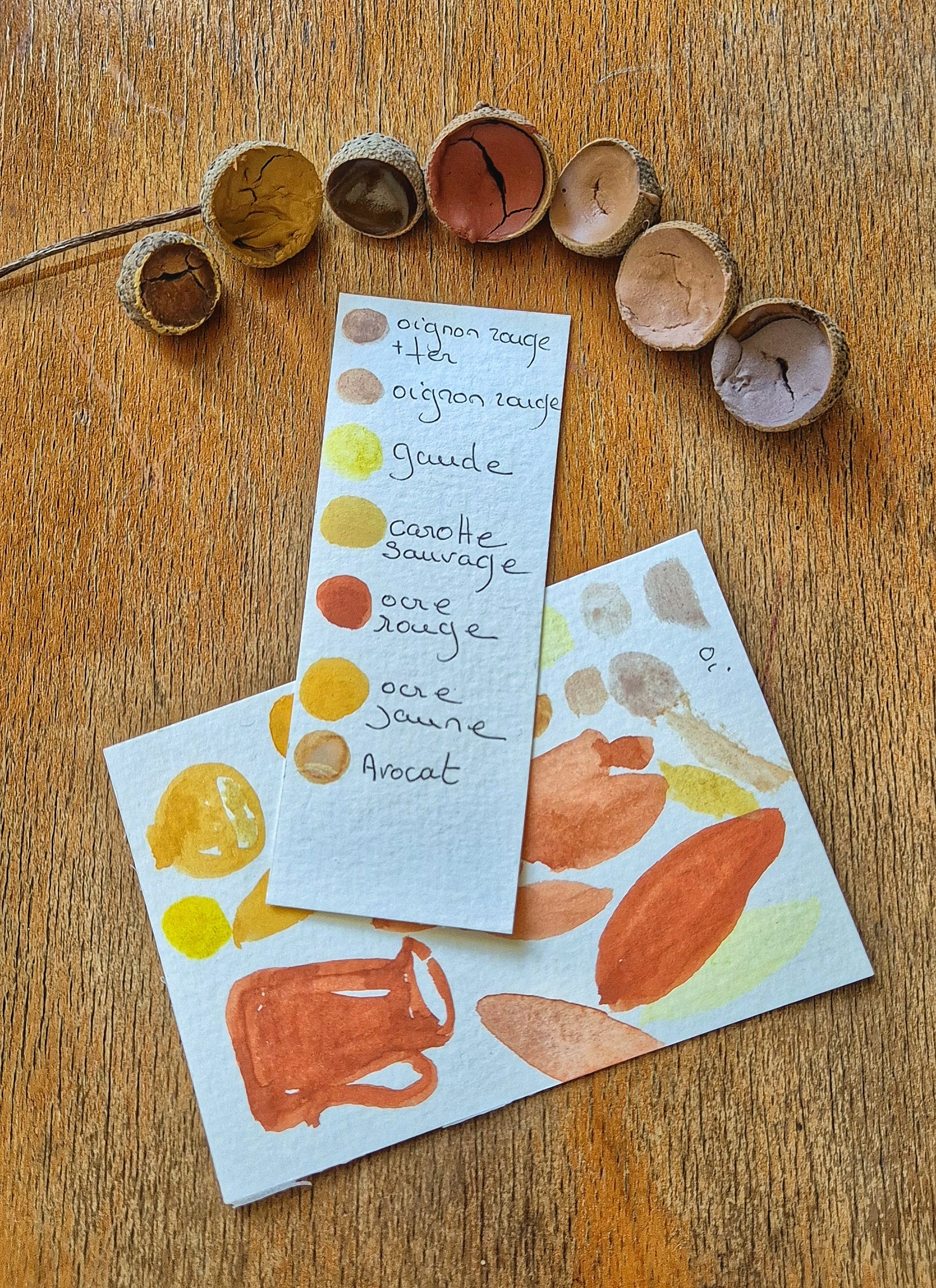 Réaliser ses aquarelles naturelles à partir de plantes