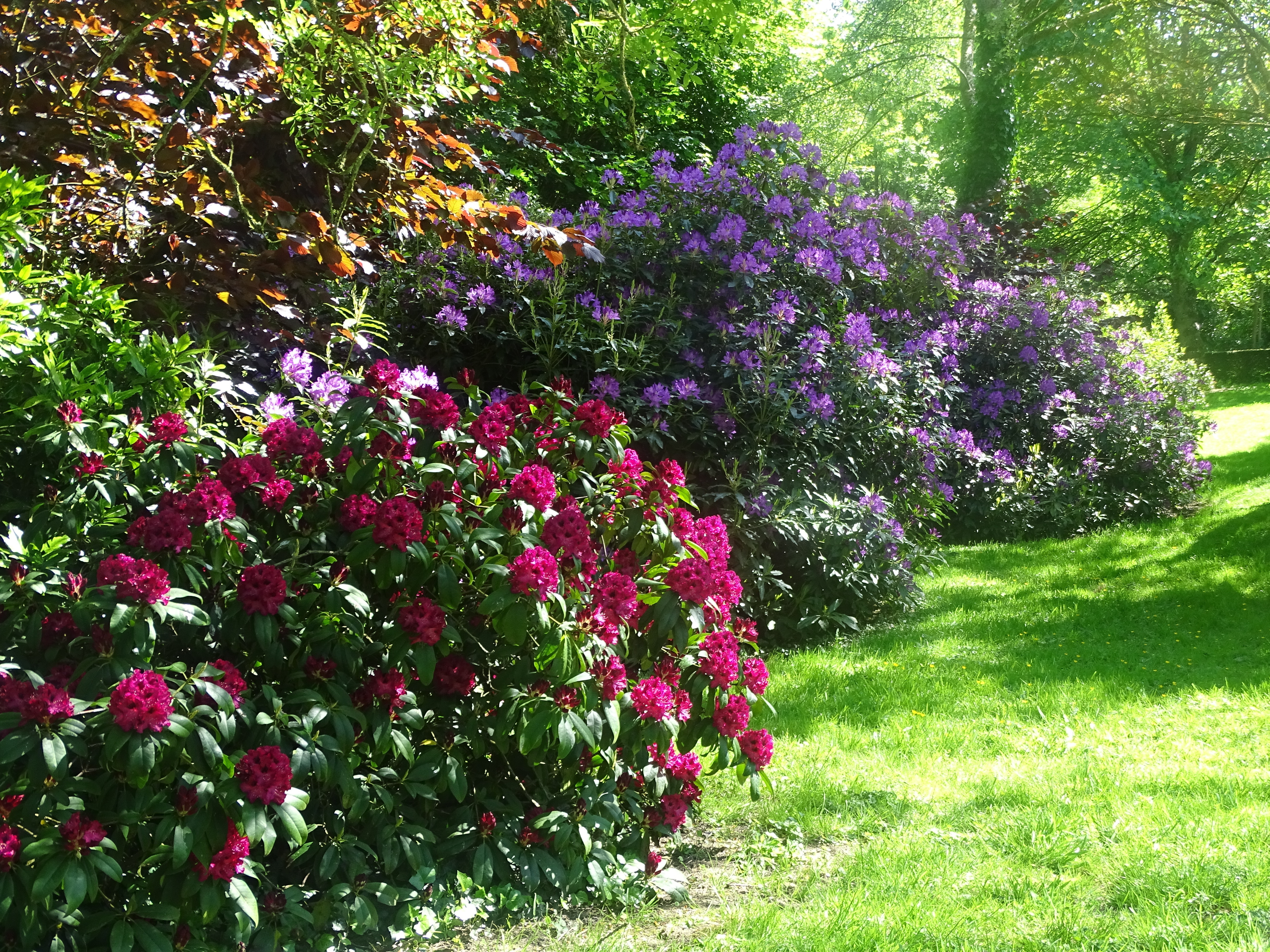 Visite libre du jardin