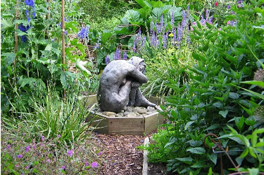 Visite libre ou visite guidée en groupe au jardin de Judith Quérée
