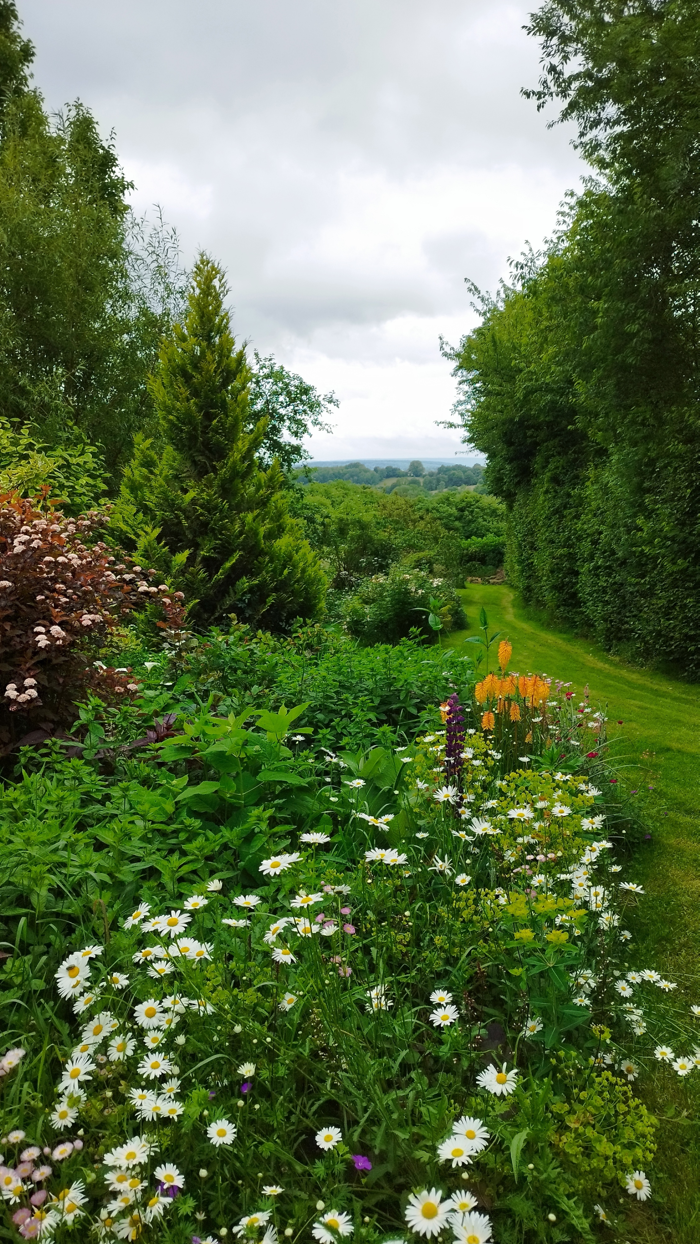 Visite libre découverte du jardin