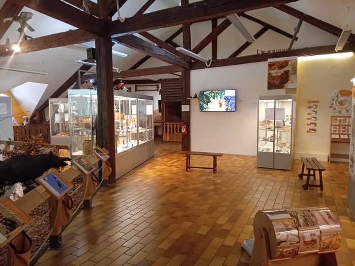 Musée Patrimonial du Pays de Thônes et bibliothèque multimédia
