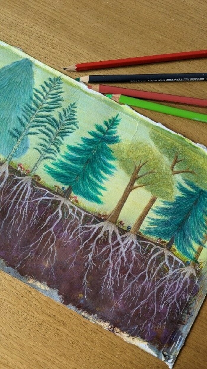 COMPLET/Atelier d'été : forêt artistique