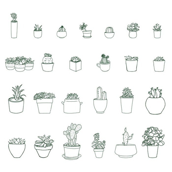 Troc aux plantes
