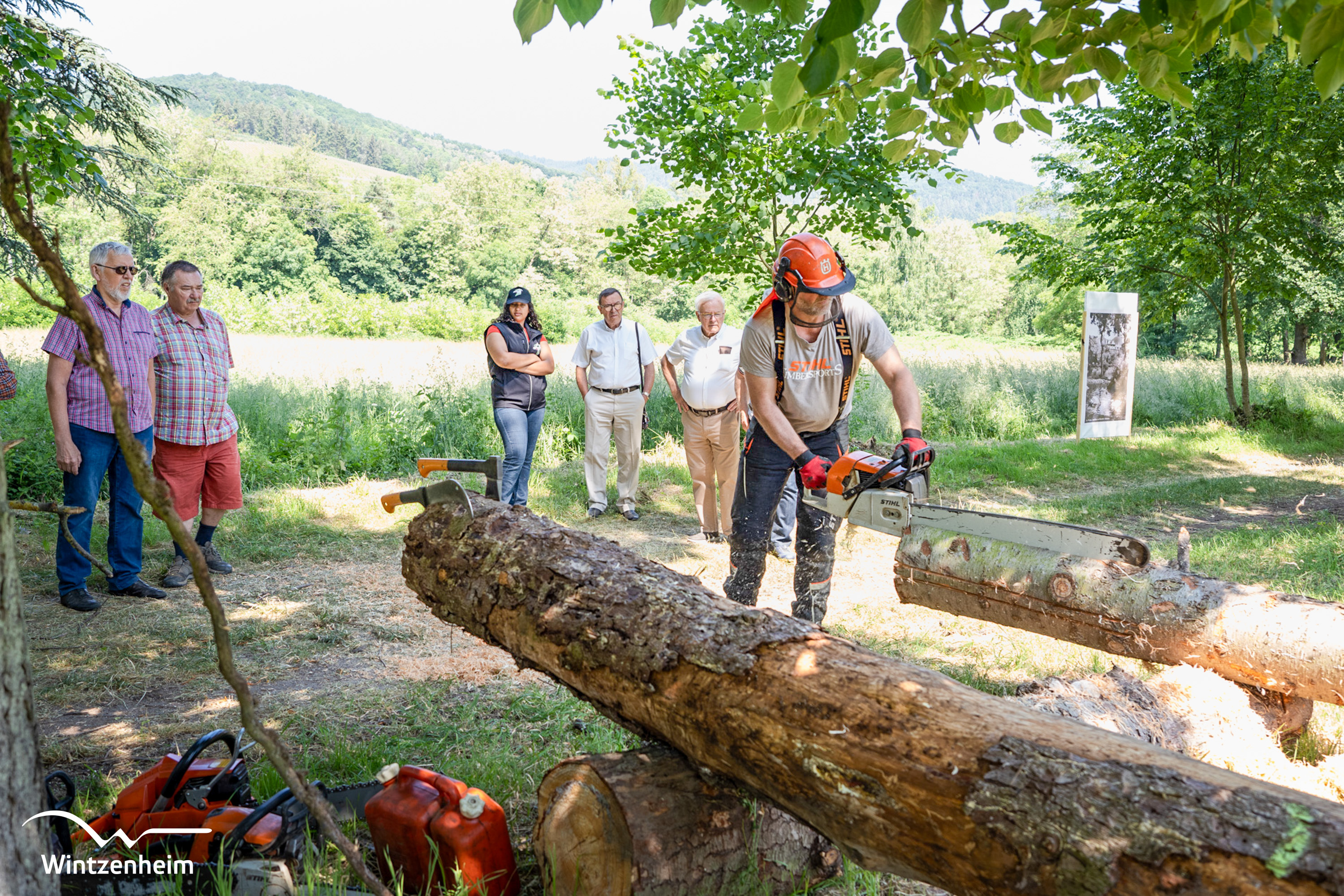 Démonstrations et ateliers - Parc Kiener à Wintzenheim