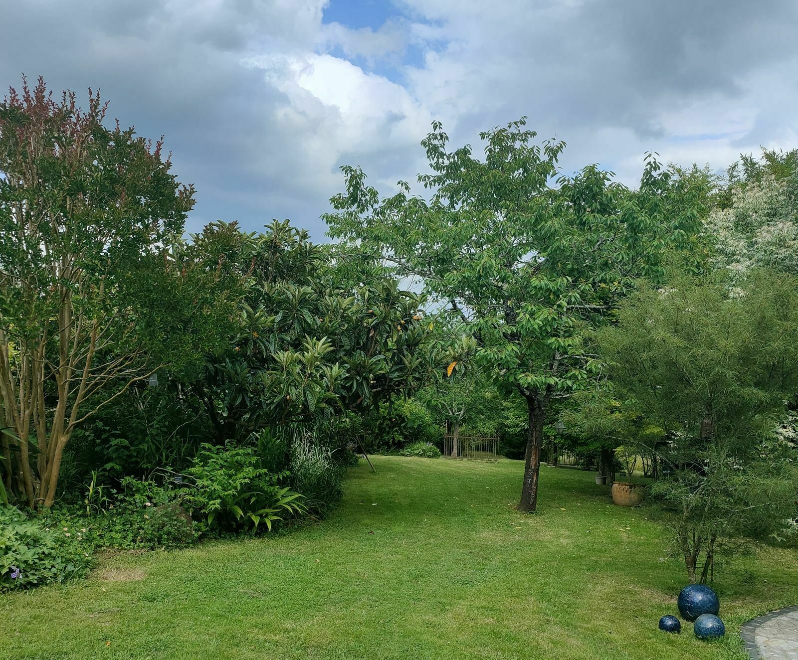 Déambulation dans un jardin paysager