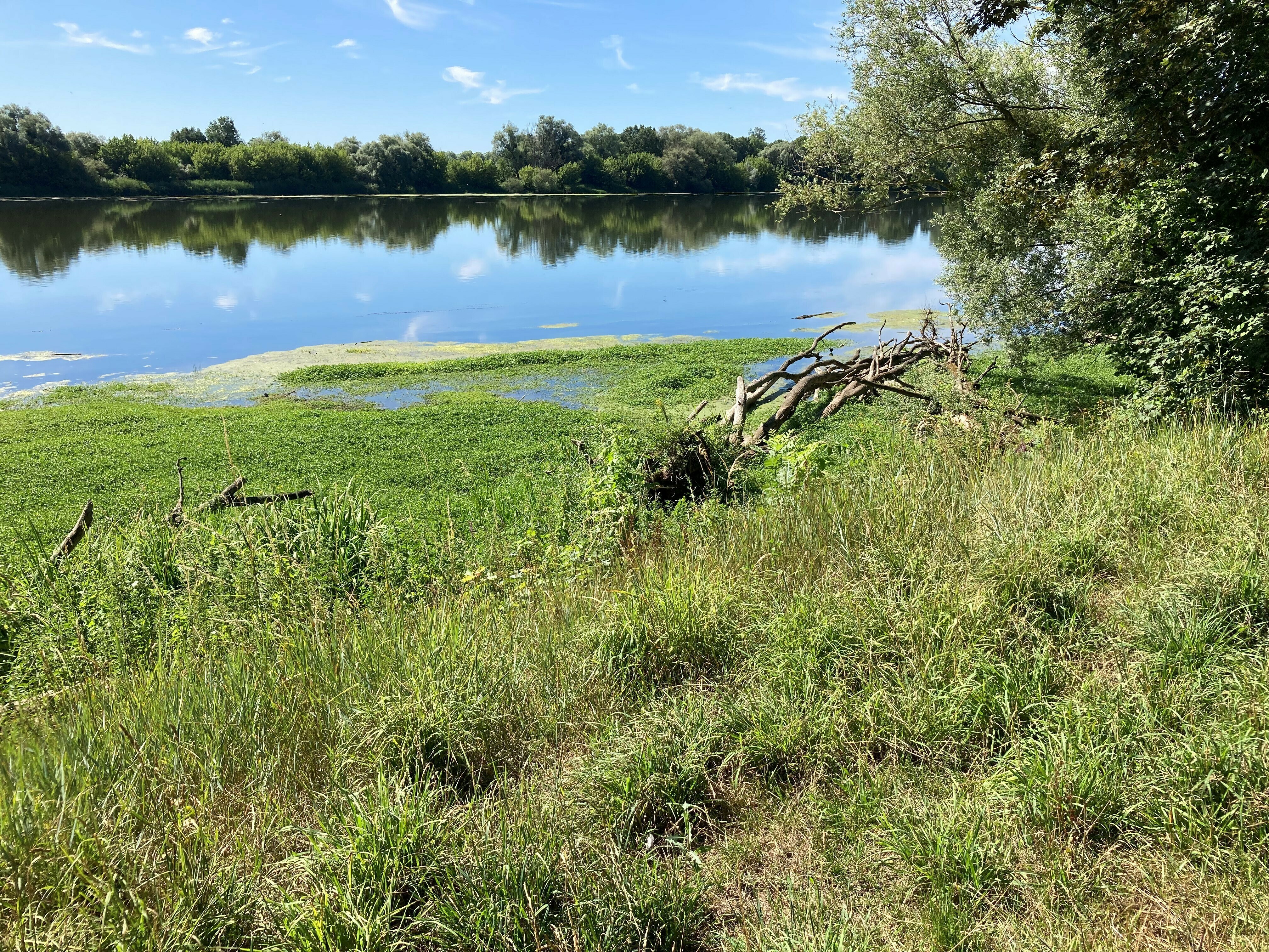 Explorez les bords de Loire à La Chapelle-Saint-Mesmin