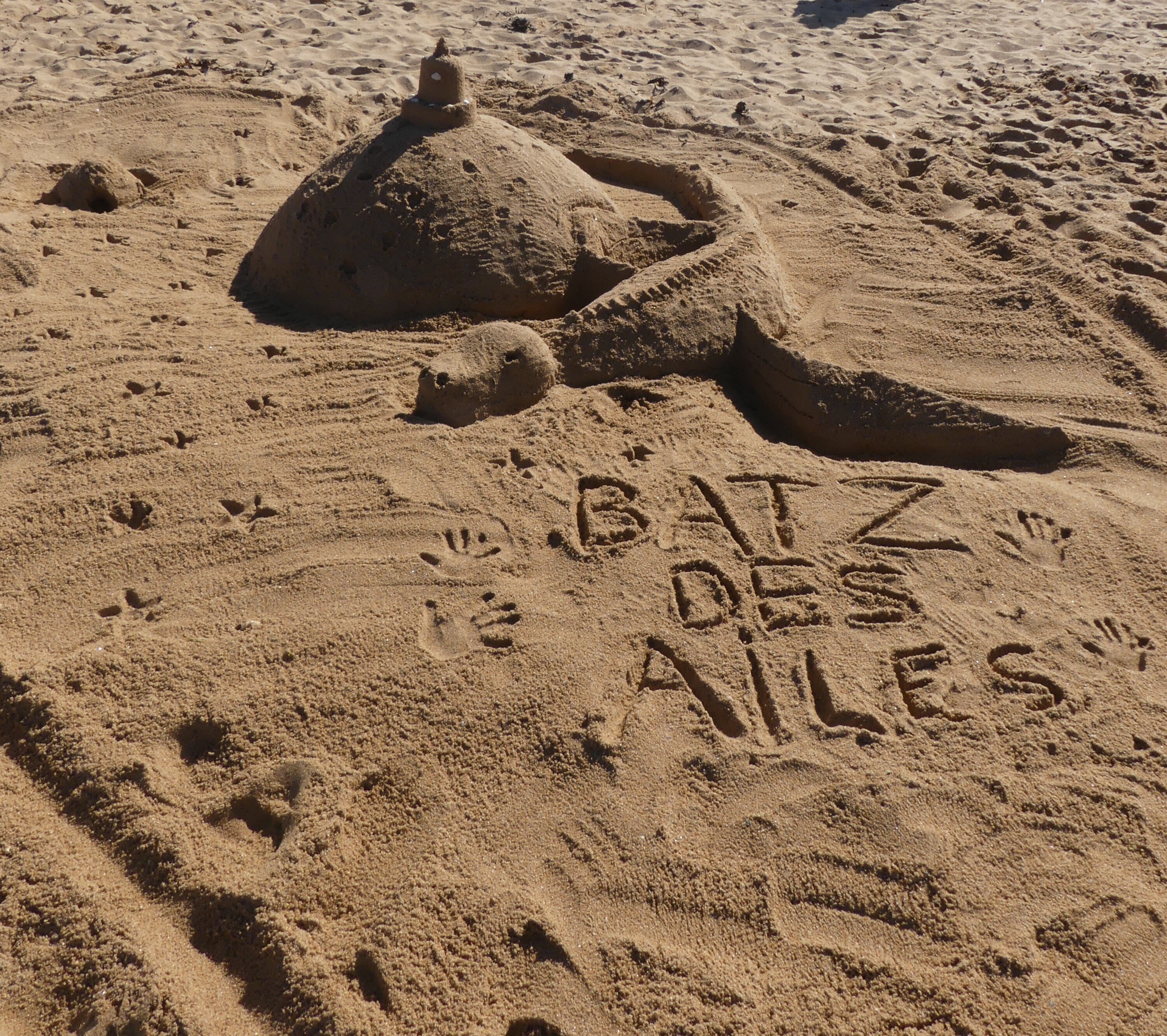 Concours de châteaux de sable