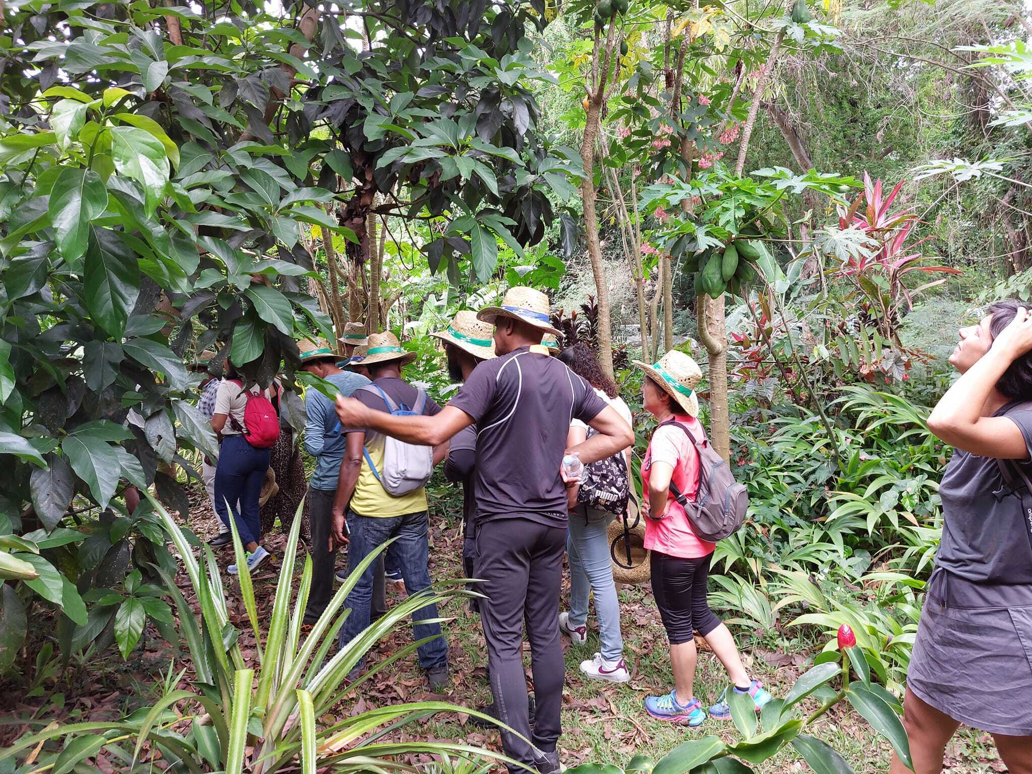 Jardin de Paulo : visites guidées