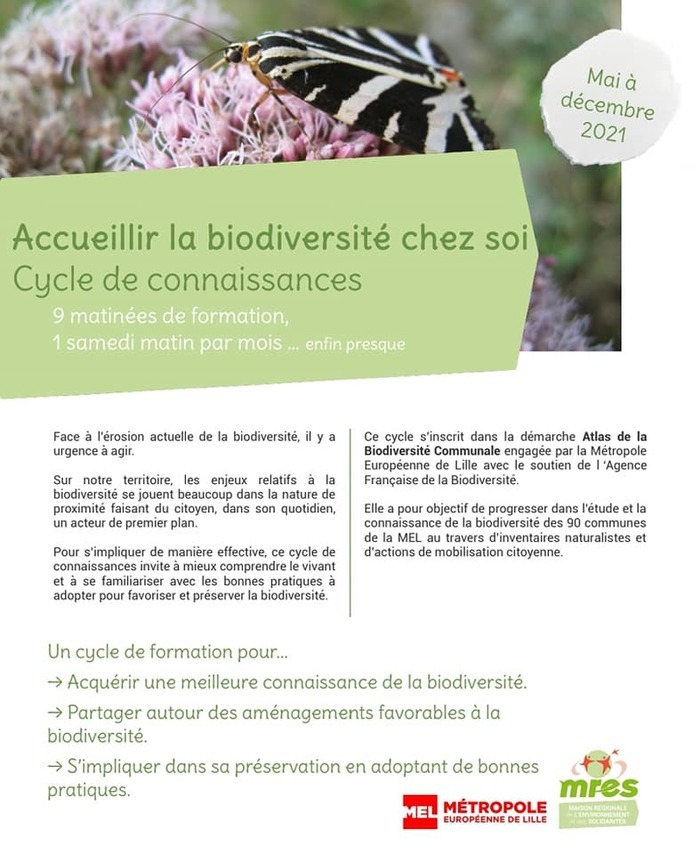 Accueillir la biodiversité chez soi