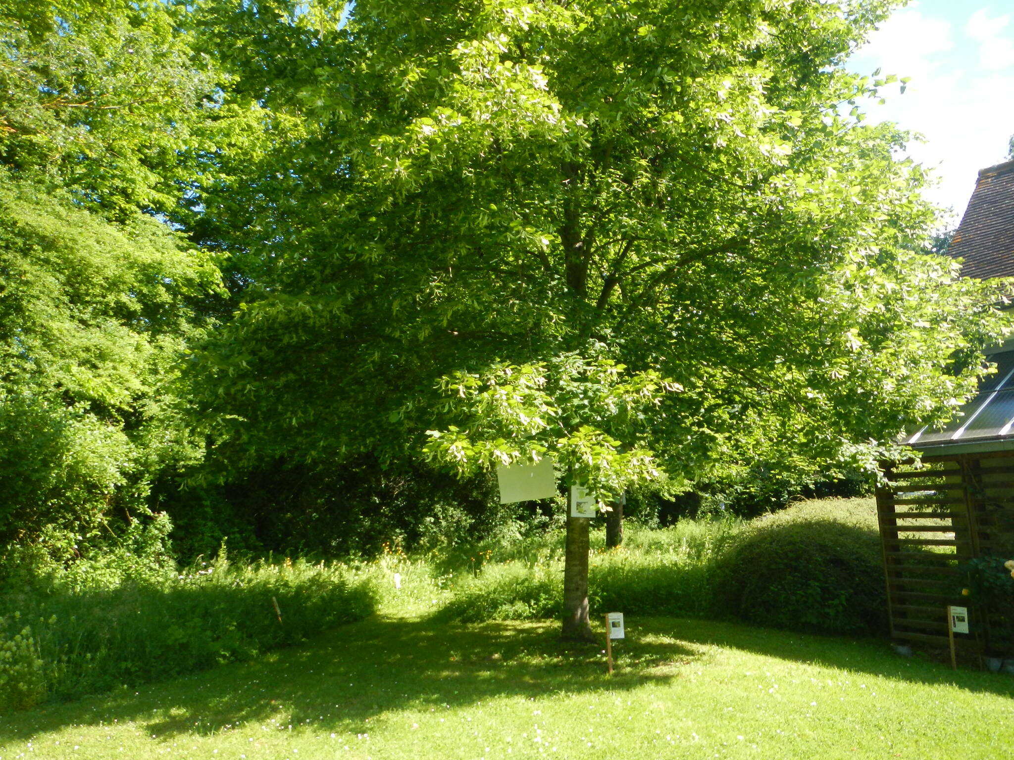 Ouverture du jardin écologique du CAUE 95 le samedi 6 juin de 10h à 16h