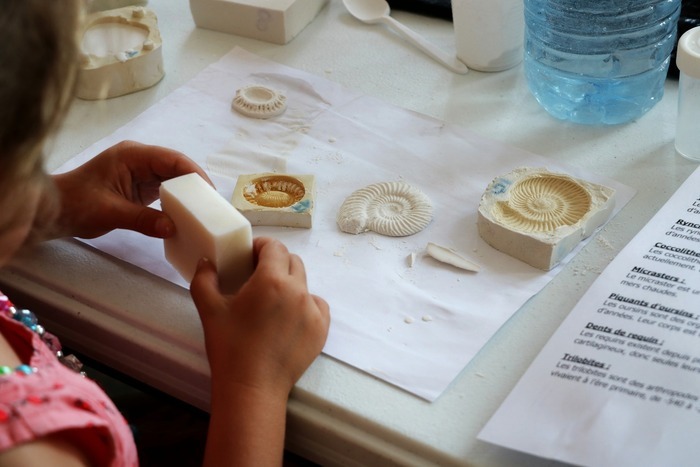 Les petits labos du Musée "Les fossiles" / à la Pouponnière