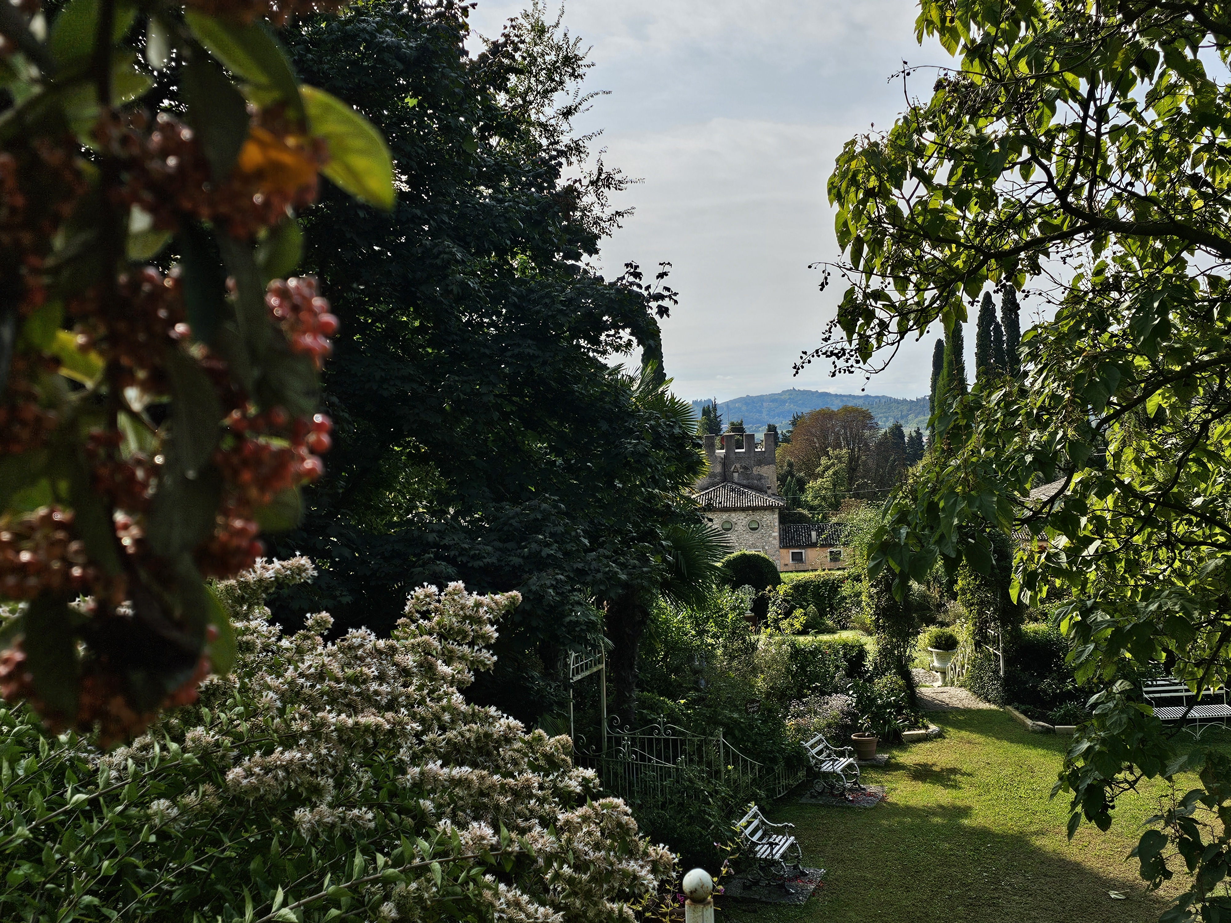 Visite libre à la découverte du jardin Biasi