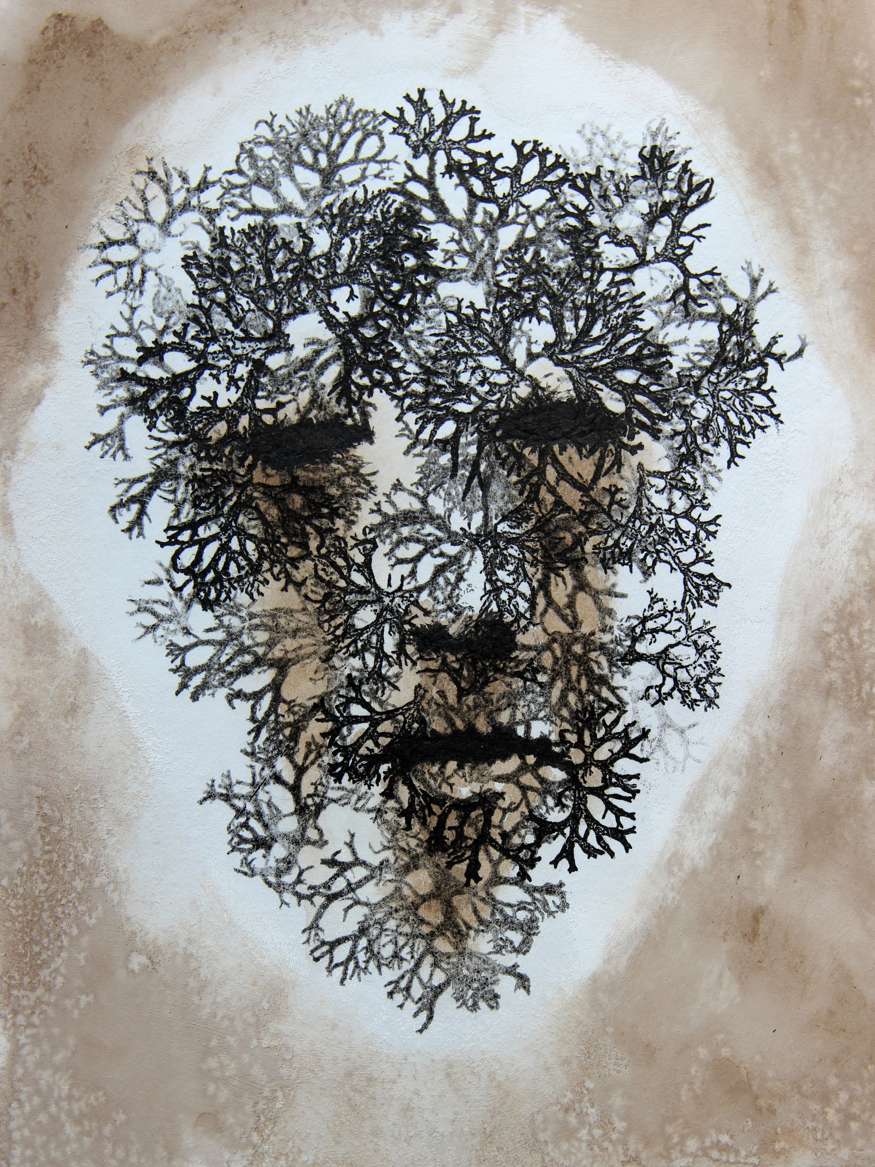 Visite commentée de l’exposition Nature Humaine par l’artiste Iris Miranda