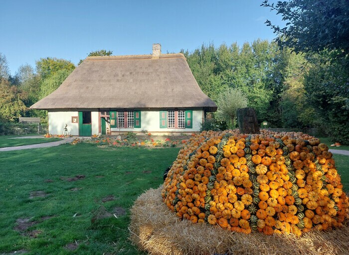 Fête de la citrouille