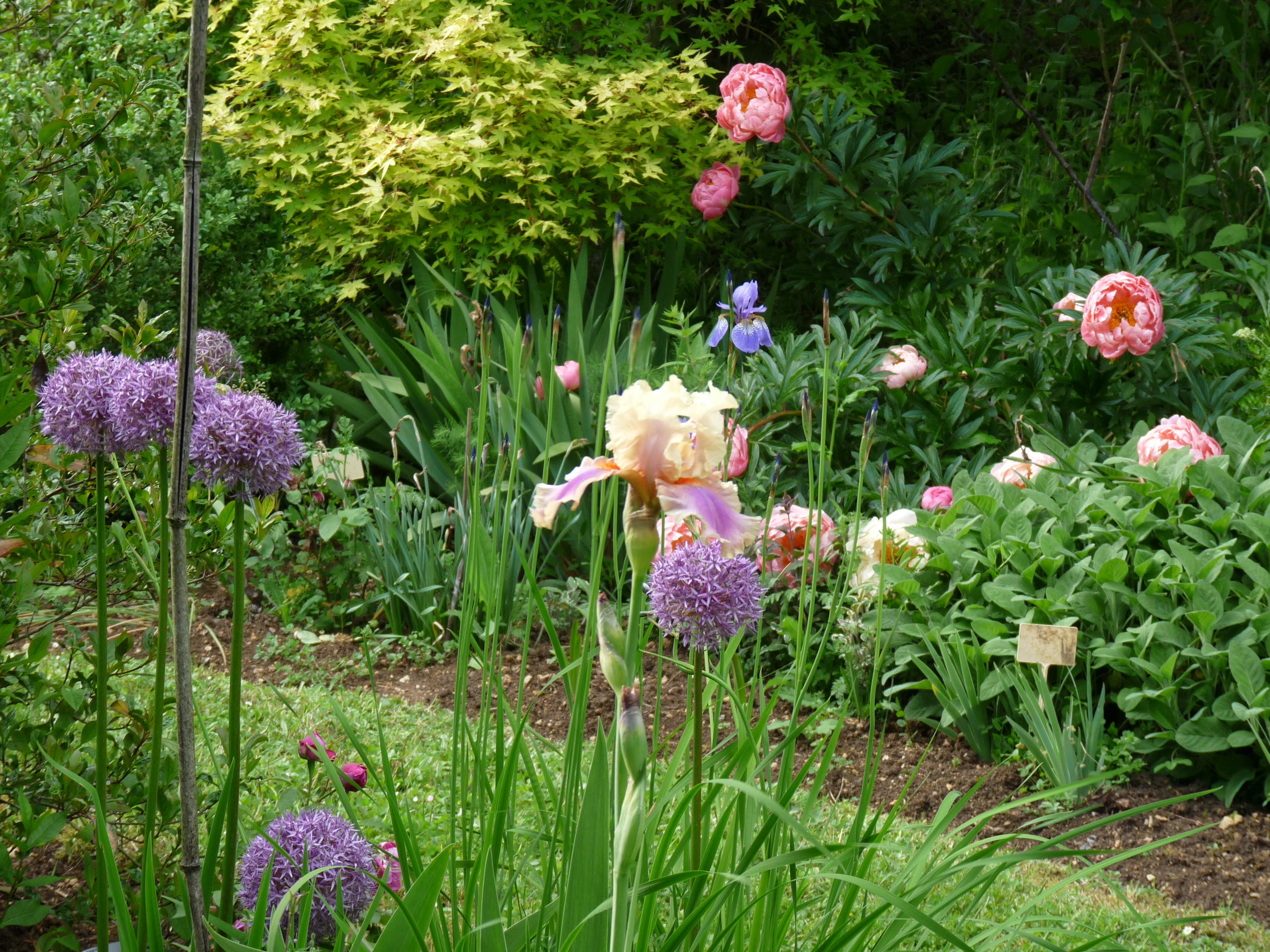 Visite du jardin de Valentine