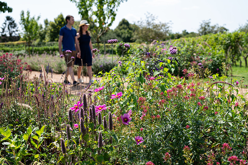 Les saisons au jardin de Talcy