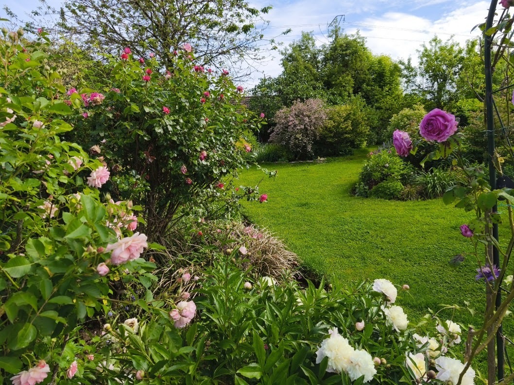 Rendez-vous au jardin floral « le Bouquet d'aquarelles »