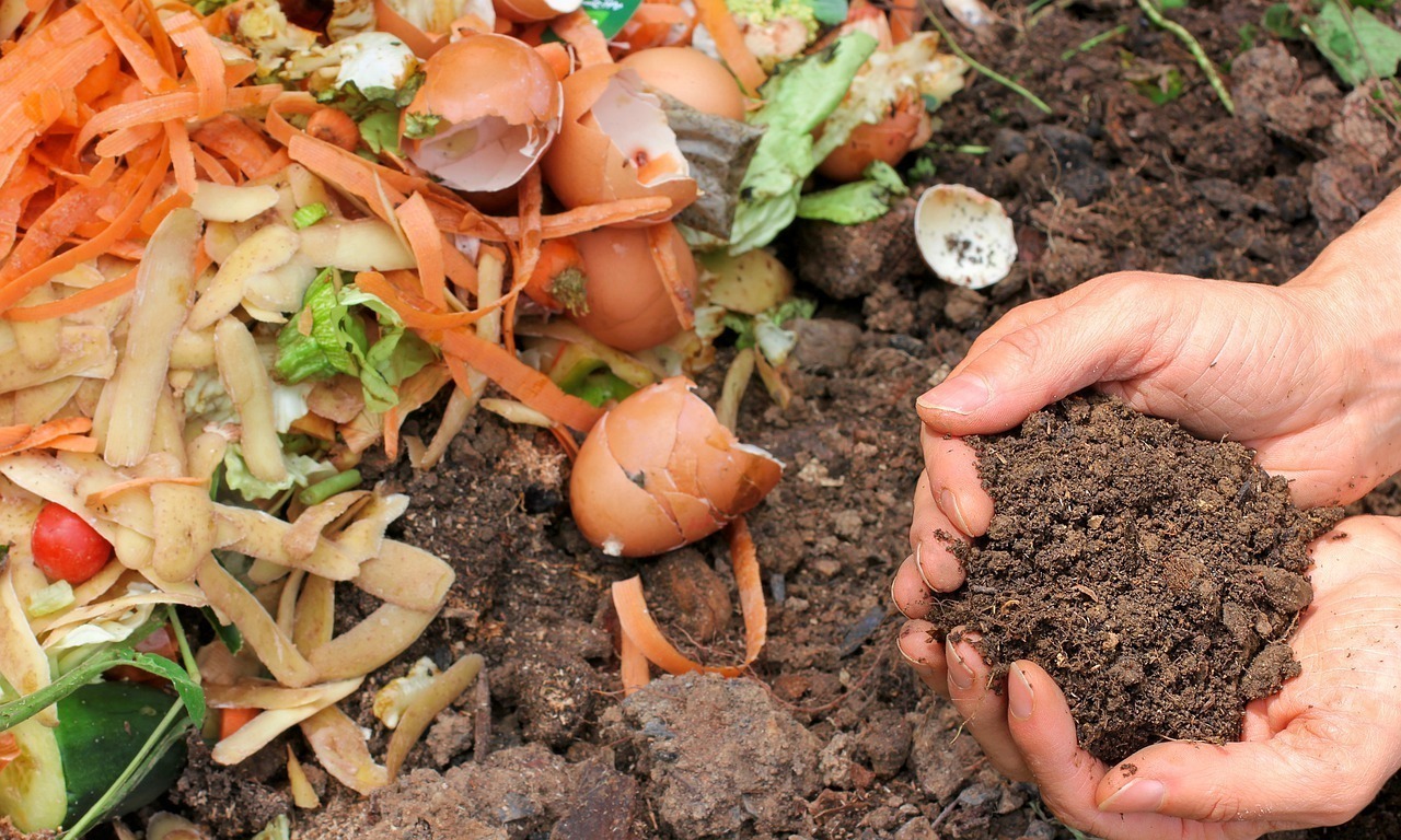 ISSY-LES-MOULINEAUX : ♻️Découverte du compostage avec un maitre composteur 🌱