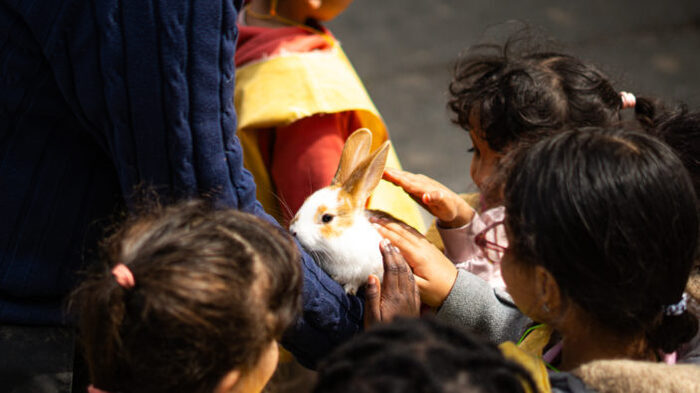 La ferme éphémère 2026