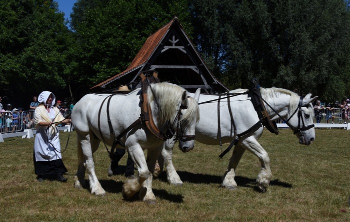 Les amis du cheval