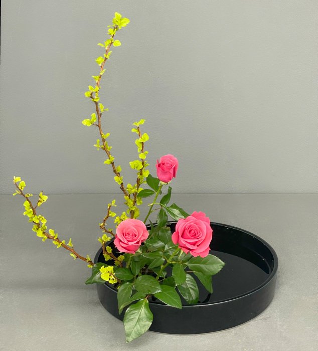 Exposition d'Ikebana (art floral japonais)